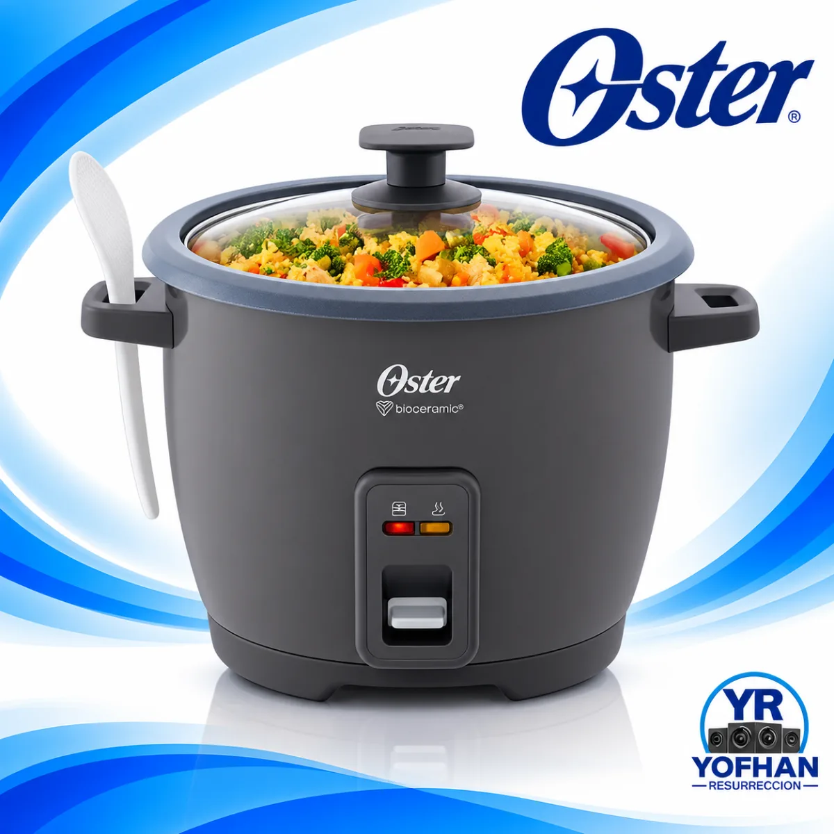 Olla Arrocera Oster 1.8L Sake